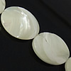 Seashell Beads, Natural Seashell, Oval, natural Inch 