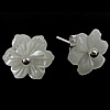 White Shell Earrings, 925 Sterling Silver, with White Shell, Flower, white 