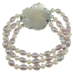 Bracelets de perles, perle d'eau douce cultivée, avec coquille blanche, laiton Fermoir à cliquet, naturel, 3 brins, plus de couleurs à choisir, 5-6mm 6-7mm,24mm .5 pouce, Vendu par brin