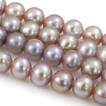 Perles de nacre rondes de culture d'eau douce, perle d'eau douce cultivée, naturel, violet, grade A, 5-5.5mm Environ 0.8mm pouce, Vendu par brin