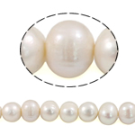 Potato Cultured Freshwater Pearl Beads, natural, white, Grade AA, 11mm Approx 0.8mm .5 Inch 
