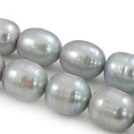 Perles d'eau douce de culture de riz, perle d'eau douce cultivée, naturel, gris, grade A, 11-12mm Environ 0.8mm .5 pouce, Vendu par brin