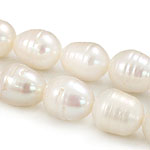 Perles d'eau douce de culture de riz, perle d'eau douce cultivée, naturel, blanc, grade A, 11-12mm Environ 0.8mm .5 pouce, Vendu par brin