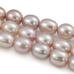 Perles d'eau douce de culture de riz, perle d'eau douce cultivée, naturel, rose, grade A, 7-8mm Environ 0.8mm .5 pouce, Vendu par brin