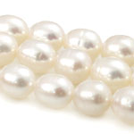 Perles d'eau douce de culture de riz, perle d'eau douce cultivée, naturel, blanc, Niveau AA, 7-8mm Environ 0.8mm .5 pouce, Vendu par brin