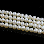 Potato Cultured Freshwater Pearl Beads, natural Grade A, 3-4mm Approx 0.8mm 
