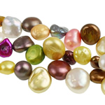 Reborn Cultured Freshwater Pearl Beads, Nuggets, top drilled, multi-colored, 7-10mm Inch, Approx 