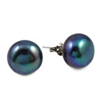 Freshwater Pearl Stud Earring, brass post pin, Dome, blue black, 11-12mm 
