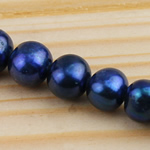 Perles de nacre rondes de culture d'eau douce, perle d'eau douce cultivée, plus de couleurs à choisir, grade A, 8-9mm Environ 0.8mm pouce, Vendu par brin