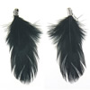Feather Pendants, with Iron, black Approx 2mm 