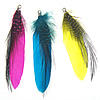 Pendentifs en plumes, plume de poulet, avec cheveux de martre & fer, Placage de couleur platine, plus de couleurs à choisir Environ 2mm, Vendu par PC