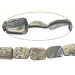 Abalone Shell Beads, Rectangle Approx 1mm Approx 16 Inch 