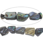 Abalone Shell Beads, Nuggets, 9-14x8.5-13.5x4-9.2mm Approx 1mm Approx 15.5 Inch 