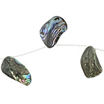 Abalone Shell Beads, Nuggets, 26.8-36.8x11.5-24x1.5-6.2mm Approx 16 Inch 