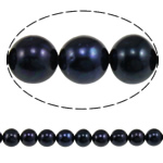 Potato Cultured Freshwater Pearl Beads, natural, dark purple, Grade AA, 10-11mm Approx 0.8mm Inch 