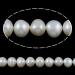Perles nacres baroques de culture d'eau douce , perle d'eau douce cultivée, naturel, blanc, grade AAA, 10-11mm Environ 0.8mm .5 pouce, Vendu par brin