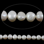Perles nacres baroques de culture d'eau douce , perle d'eau douce cultivée, naturel, blanc, Niveau AA, 10-11mm Environ 0.8mm .5 pouce, Vendu par brin