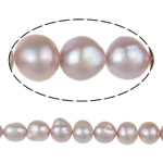 Perles nacres baroques de culture d'eau douce , perle d'eau douce cultivée, naturel, violet clair, Niveau AA, 10-11mm Environ 0.8mm .5 pouce, Vendu par brin