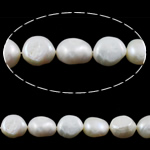 Barock kultivierten Süßwassersee Perlen, Natürliche kultivierte Süßwasserperlen, natürlich, weiß, Grade A, 10-11mm, Bohrung:ca. 0.8mm, Länge:15 ZollInch, verkauft von Strang