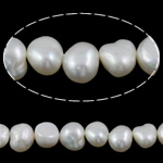 Baroque Cultured Freshwater Pearl Beads, natural, white, Grade A, 9-10mm Approx 0.8mm Inch 