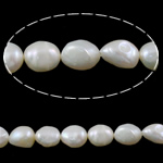 Barock kultivierten Süßwassersee Perlen, Natürliche kultivierte Süßwasserperlen, natürlich, weiß, Grade A, 9-10mm, Bohrung:ca. 0.8mm, Länge:15 ZollInch, verkauft von Strang