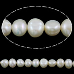 Perles nacres baroques de culture d'eau douce , perle d'eau douce cultivée, naturel, blanc, grade A, 7-8mm Environ 0.8mm pouce, Vendu par brin
