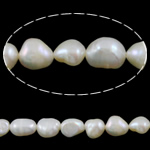 Baroque Cultured Freshwater Pearl Beads, natural, white, Grade A, 7-8mm Approx 0.8mm Inch 