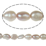 Perles nacres baroques de culture d'eau douce , perle d'eau douce cultivée, naturel, violet clair, grade A, 7-8mm Environ 0.8mm pouce, Vendu par brin