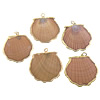 Trumpet Shell Pendant, Fan, gold color plated, 35-38x36-39x1-2mm Approx 3-5mm 