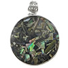 Abalone Shell Pendants, Brass, with Abalone Shell, Flat Round, platinum color plated Approx 