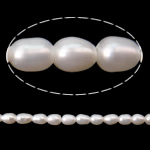 Perles d'eau douce de culture de riz, perle d'eau douce cultivée, naturel, blanc, grade A, 2-2.5mm Environ 0.5mm .7 pouce, Vendu par brin