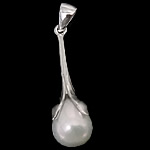 Cultured Pearl Sterling Silver Pendants, 925 Sterling Silver, with Freshwater Pearl, Teardrop, platinum plated, with cubic zirconia Approx 