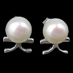 Freshwater Pearl Stud Earring, sterling silver post pin, plated 
