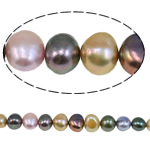 Perles nacres baroques de culture d'eau douce , perle d'eau douce cultivée, naturel, multicolore, grade A, 8.5-9mm Environ 0.8mm .4 pouce, Vendu par brin