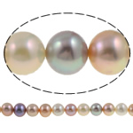 Perles de nacre rondes de culture d'eau douce, perle d'eau douce cultivée, naturel, multicolore, grade AAA, 8-9mm Environ 0.8mm pouce, Vendu par brin