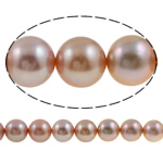 Perlas Redondas Freshwater, Perlas cultivadas de agua dulce, Esférico, natural, violeta gris, grado AAAA, 11-12mm, agujero:aproximado 0.8mm, longitud:15 Inch, Vendido por Sarta