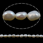 Baroque Cultured Freshwater Pearl Beads, natural, white, Grade AA, 4-5mm Approx 0.8mm Inch 