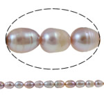 Rice Cultured Freshwater Pearl Beads, natural, light purple, Grade A, 11-12mm Approx 0.8mm .3 Inch 
