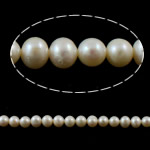 Round Cultured Freshwater Pearl Beads, natural, white, Grade A, 6-7mm Approx 0.8mm .3 Inch 
