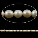 Perles d'eau douce de culture de riz, perle d'eau douce cultivée, naturel, blanc, grade A, 7-8mm Environ 0.8mm .3 pouce, Vendu par brin