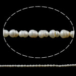 Perles nacres baroques de culture d'eau douce , perle d'eau douce cultivée, naturel, blanc, 3-4mm Environ 0.8mm pouce, Vendu par brin