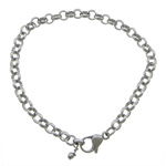 Stainless Steel Chain Bracelets, rolo chain Approx 8 Inch 