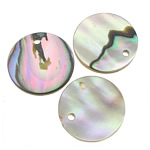 Abalone Shell Pendants, Coin, Mexico imported Approx 1mm 