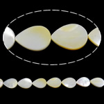 Perles de coquille de mer, coquillage, larme, naturel, Jaune Environ 1mm .7 pouce, Environ Vendu par brin