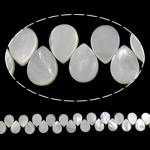 Seashell Beads, Natural Seashell, Teardrop, natural, white Approx 1mm Inch, Approx 