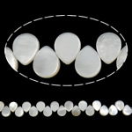 Perles de coquille de mer, coquillage, larme, naturel, blanc Environ 1mm .7 pouce, Environ Vendu par brin