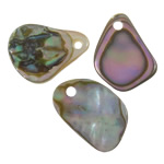 Abalone Shell Pendants, Nuggets, natural, 8-27mm Approx 1.5mm, Approx 