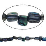 Abalone Shell Beads, Nuggets, natural, 8-13mm Approx 1.5mm .7 Inch, Approx 