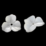 Abalorios de Nácar Blanca Natural, Flor, Tallado, 10.5x10.5x2.2mm, agujero:aproximado 0.8mm, Vendido por UD