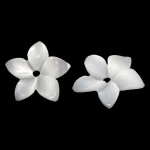 Abalorios de Nácar Blanca Natural, Flor, Tallado, 10x10x1.5mm, agujero:aproximado 0.8mm, Vendido por UD